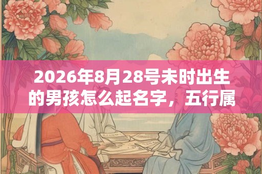 2026年8月28号未时出生的男孩怎么起名字，五行属什么