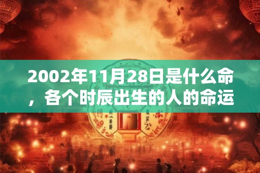 2002年11月28日是什么命，各个时辰出生的人的命运