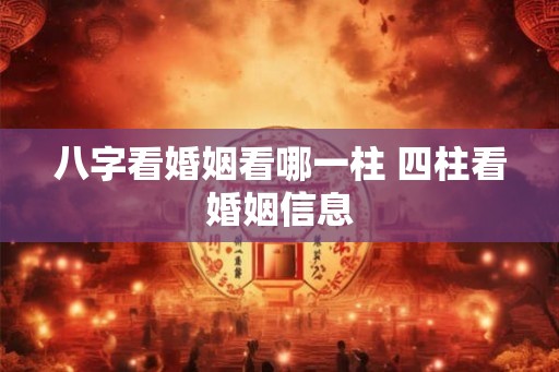 八字看婚姻看哪一柱 四柱看婚姻信息