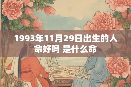 1993年11月29日出生的人命好吗 是什么命