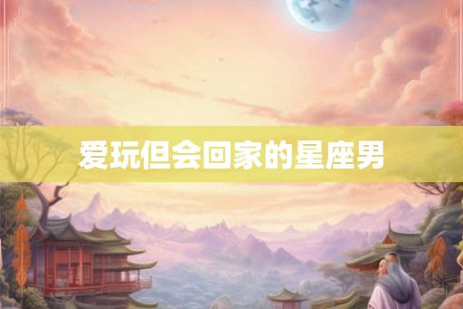 爱玩但会回家的星座男