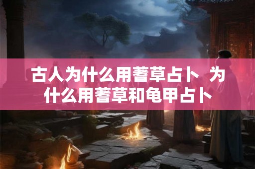 古人为什么用蓍草占卜  为什么用蓍草和龟甲占卜