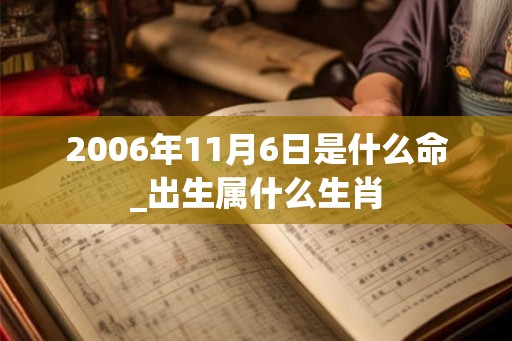 2006年11月6日是什么命_出生属什么生肖
