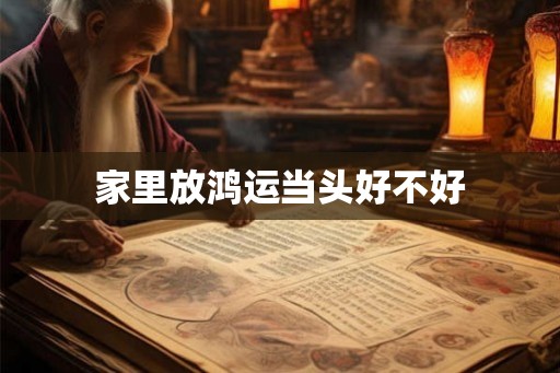 家里放鸿运当头好不好