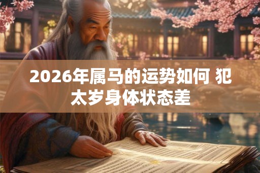 2026年属马的运势如何 犯太岁身体状态差