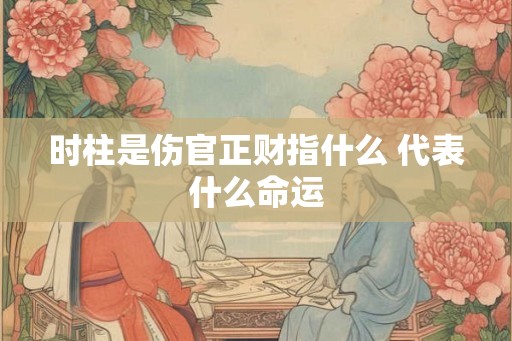 时柱是伤官正财指什么 代表什么命运