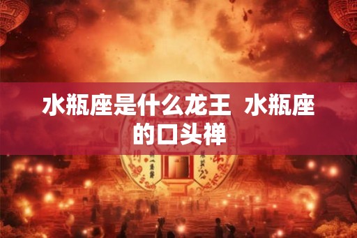 水瓶座是什么龙王  水瓶座的口头禅