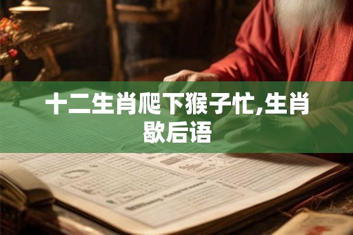 十二生肖爬下猴子忙,生肖歇后语