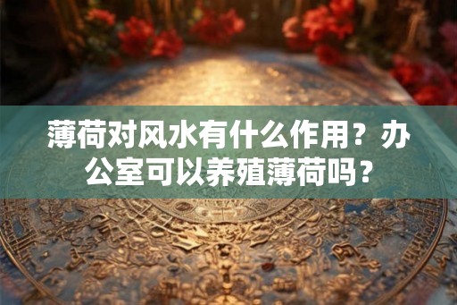 薄荷对风水有什么作用？办公室可以养殖薄荷吗？