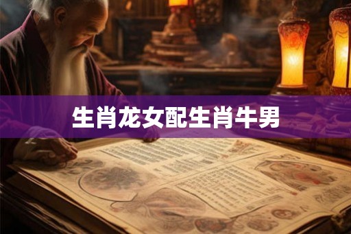 生肖龙女配生肖牛男