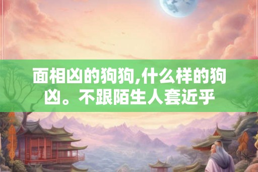 面相凶的狗狗,什么样的狗凶。不跟陌生人套近乎