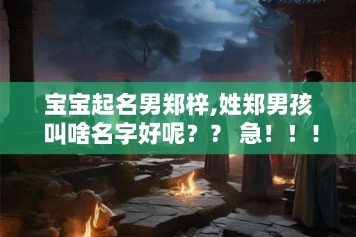 宝宝起名男郑梓,姓郑男孩 叫啥名字好呢？？ 急！！！！