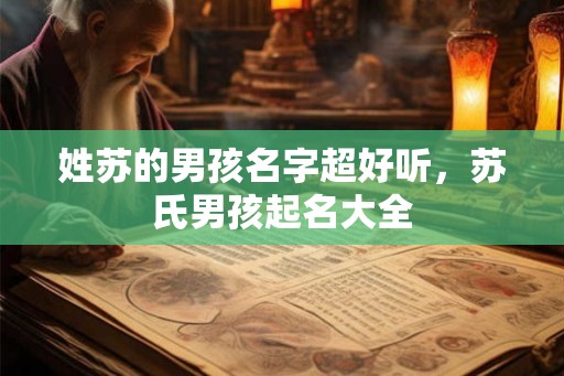姓苏的男孩名字超好听，苏氏男孩起名大全