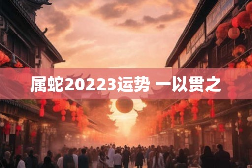 属蛇20223运势 一以贯之