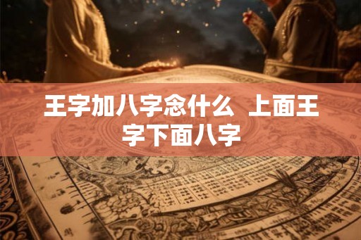 王字加八字念什么  上面王字下面八字