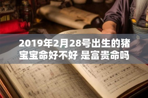 2019年2月28号出生的猪宝宝命好不好 是富贵命吗