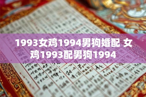 1993女鸡1994男狗婚配 女鸡1993配男狗1994