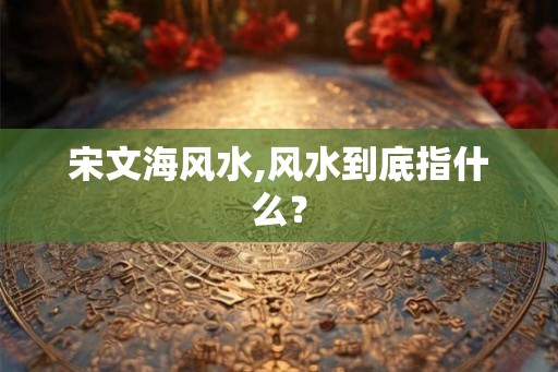 宋文海风水,风水到底指什么？