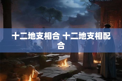 十二地支相合 十二地支相配合 十二地支相合 十二地支相配合