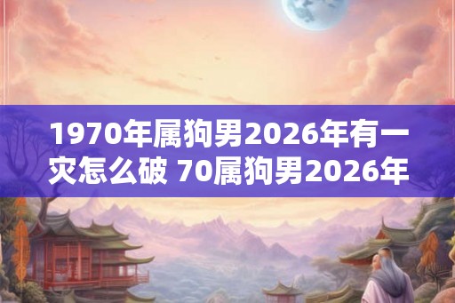 1970年属狗男2026年有一灾怎么破 70属狗男2026年有哪些灾难 1970年属狗男2026年有一灾怎么破 70属狗男2026年有哪些灾难