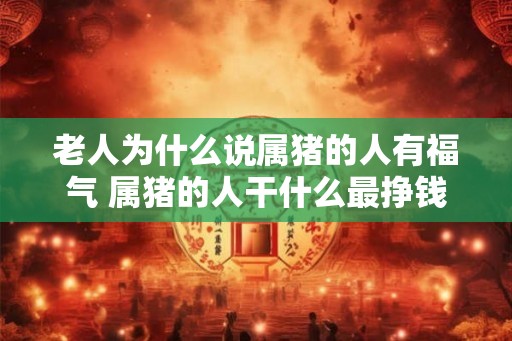 老人为什么说属猪的人有福气 属猪的人干什么最挣钱
