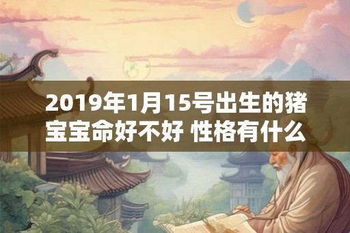 2019年1月15号出生的猪宝宝命好不好 性格有什么特点