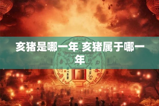 亥猪是哪一年 亥猪属于哪一年
