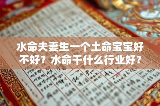 水命夫妻生一个土命宝宝好不好？水命干什么行业好？
