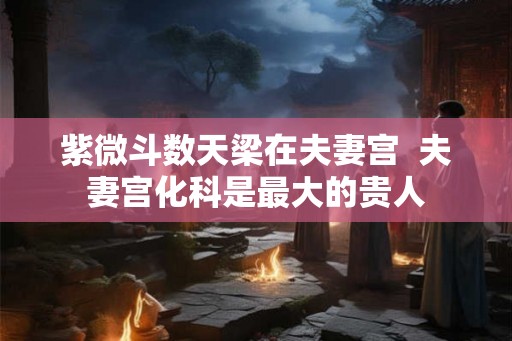 紫微斗数天梁在夫妻宫  夫妻宫化科是最大的贵人