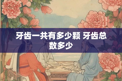 牙齿一共有多少颗 牙齿总数多少