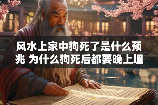 风水上家中狗死了是什么预兆 为什么狗死后都要晚上埋