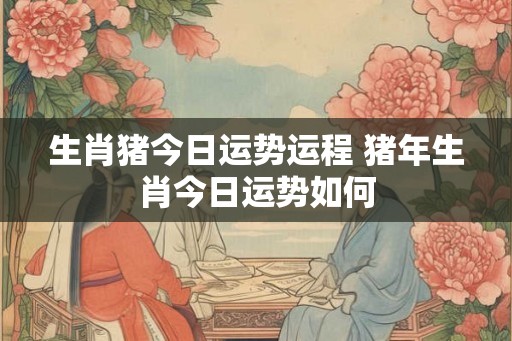 生肖猪今日运势运程 猪年生肖今日运势如何
