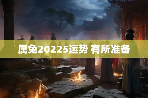 属兔20225运势 有所准备