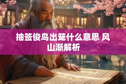 抽签俊鸟出笼什么意思 风山渐解析