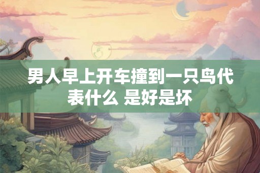 男人早上开车撞到一只鸟代表什么 是好是坏