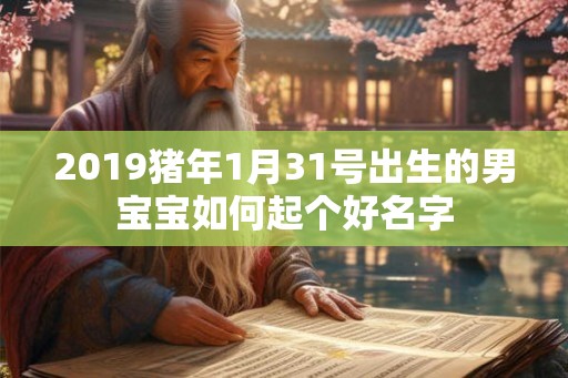 2019猪年1月31号出生的男宝宝如何起个好名字