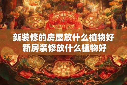 新装修的房屋放什么植物好 新房装修放什么植物好