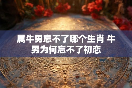 属牛男忘不了哪个生肖 牛男为何忘不了初恋 属牛男忘不了哪个生肖 牛男为何忘不了初恋