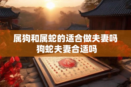 属狗和属蛇的适合做夫妻吗 狗蛇夫妻合适吗