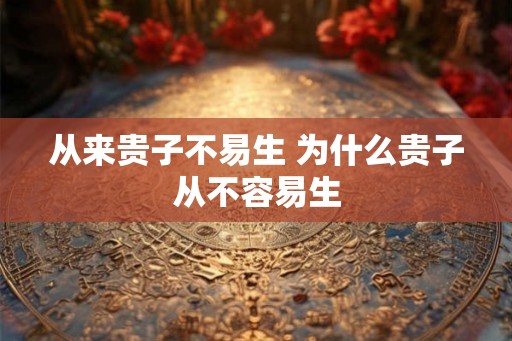 从来贵子不易生 为什么贵子从不容易生