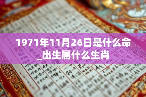 1971年11月26日是什么命_出生属什么生肖