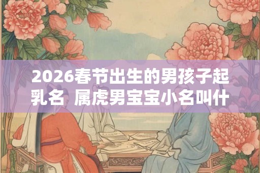 2026春节出生的男孩子起乳名  属虎男宝宝小名叫什么好