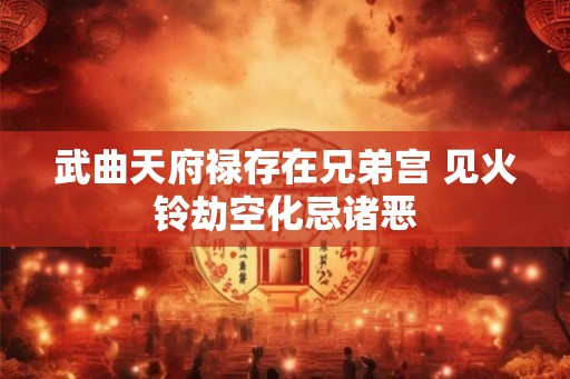 武曲天府禄存在兄弟宫 见火铃劫空化忌诸恶