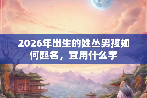 2026年出生的姓丛男孩如何起名,宜用什么字 2026年出生的姓丛男孩如何起名,宜用什么字