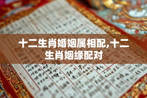 十二生肖婚姻属相配,十二生肖姻缘配对