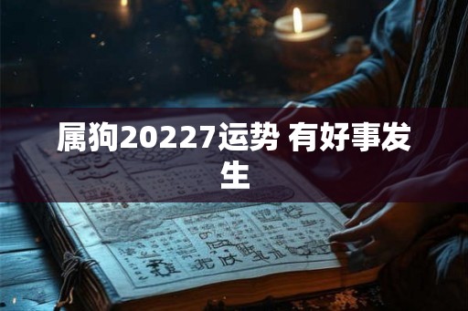 属狗20227运势 有好事发生