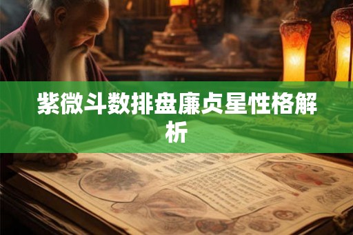 紫微斗数排盘廉贞星性格解析