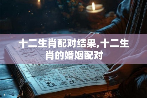 十二生肖配对结果,十二生肖的婚姻配对