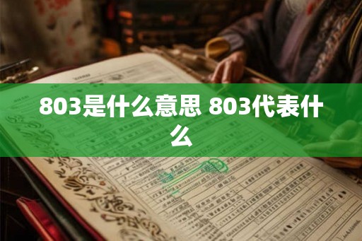 803是什么意思 803代表什么