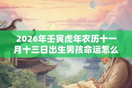 2026年壬寅虎年农历十一月十三日出生男孩命运怎么样？